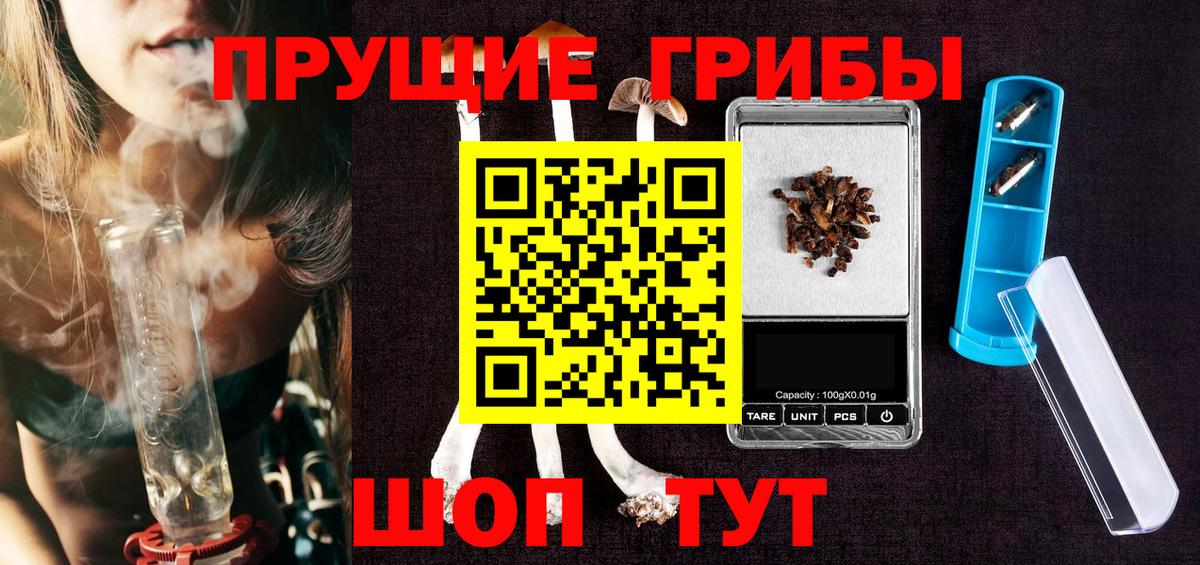 Зеленогорск  Псилоцибиновые грибы MAGIC MUSHROOMS  Вход с VPN 